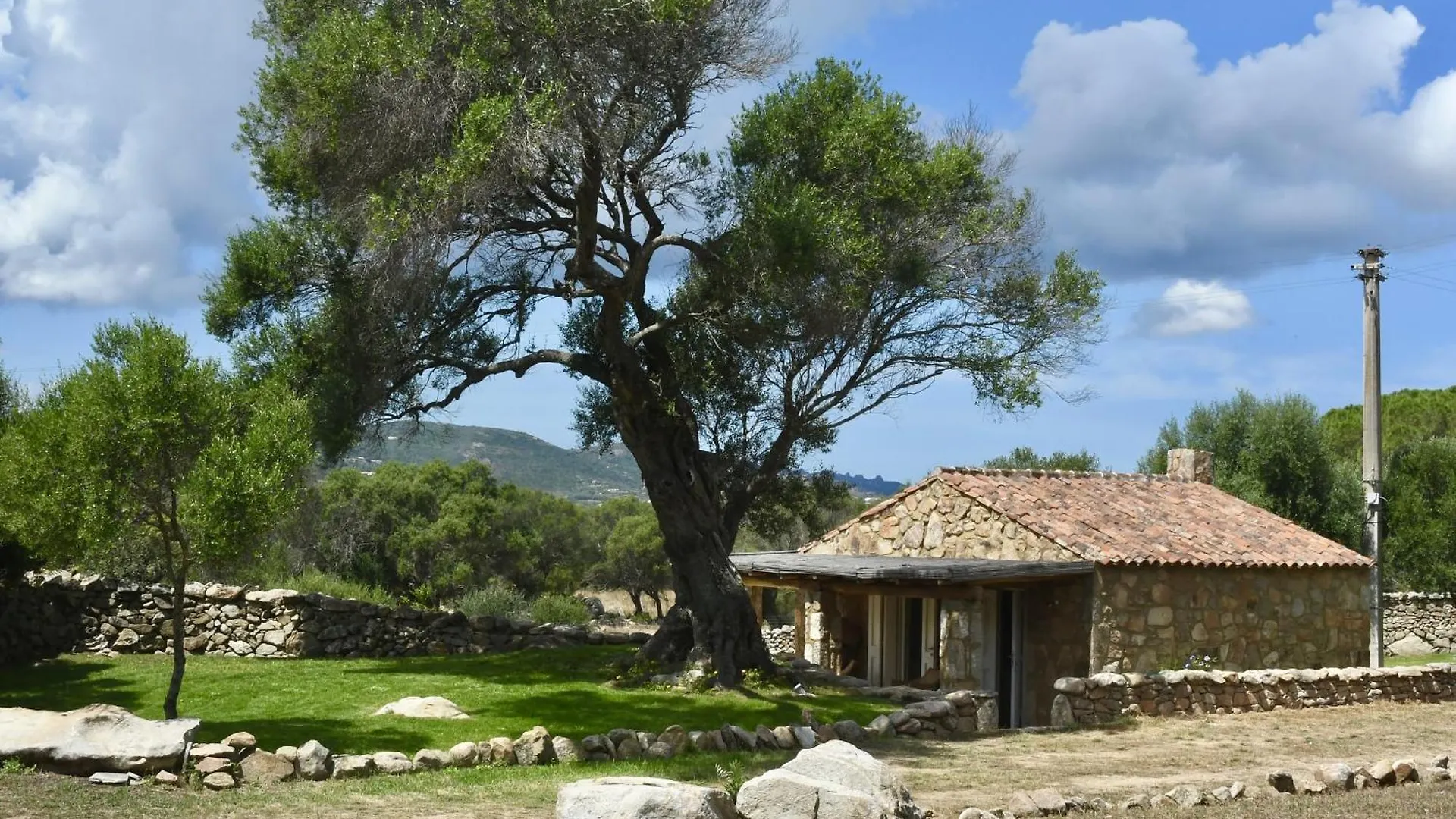 Petra D'Arana Βίλα Palau